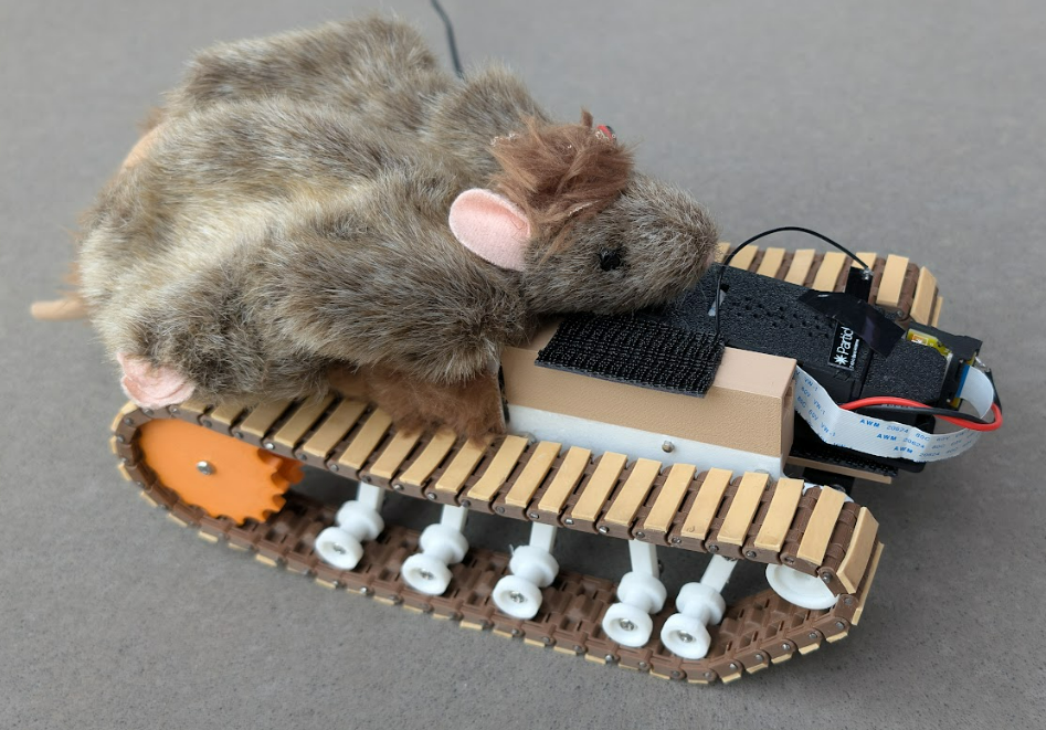 Ratbot preview